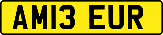 AM13EUR