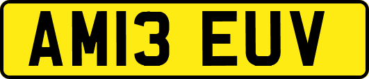 AM13EUV