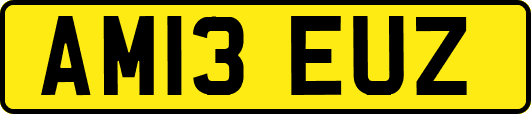 AM13EUZ
