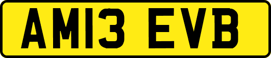 AM13EVB