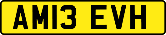 AM13EVH