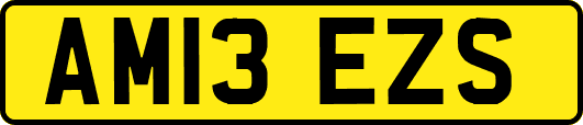 AM13EZS