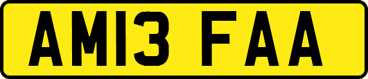 AM13FAA