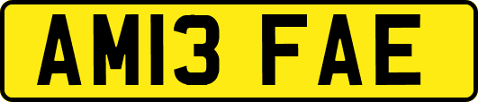 AM13FAE