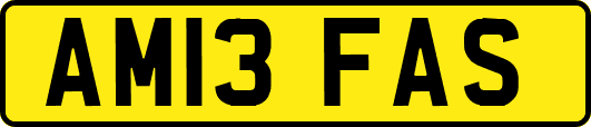 AM13FAS