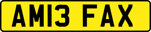 AM13FAX