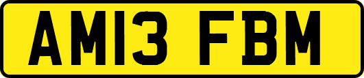 AM13FBM
