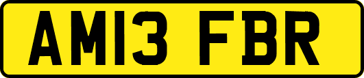 AM13FBR
