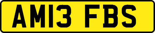 AM13FBS