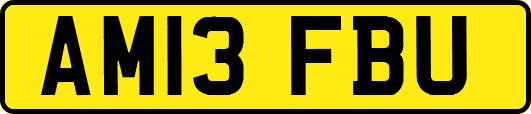 AM13FBU