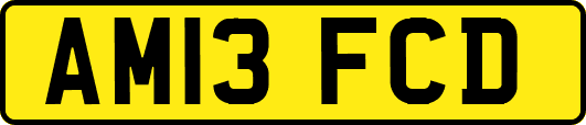 AM13FCD