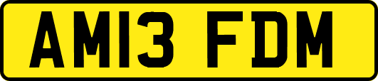 AM13FDM