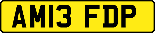 AM13FDP