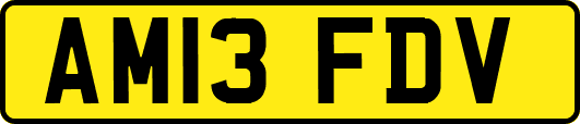 AM13FDV