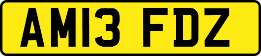 AM13FDZ