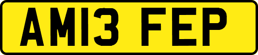 AM13FEP