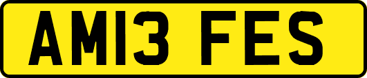 AM13FES
