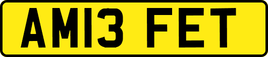 AM13FET