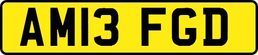 AM13FGD