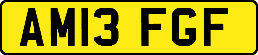 AM13FGF