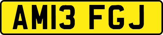 AM13FGJ