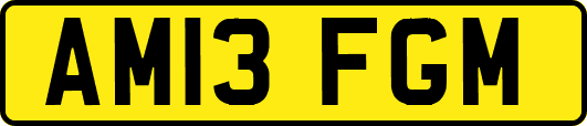 AM13FGM
