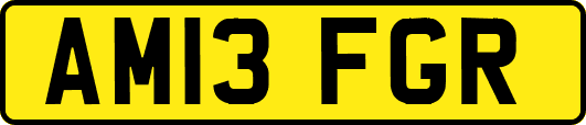 AM13FGR
