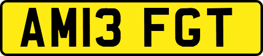 AM13FGT