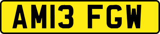 AM13FGW