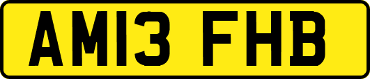 AM13FHB