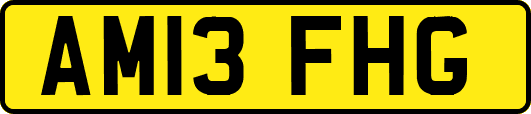 AM13FHG