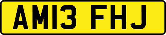 AM13FHJ
