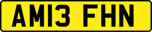 AM13FHN