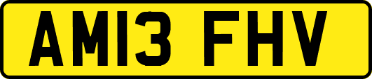 AM13FHV