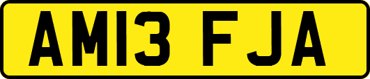 AM13FJA