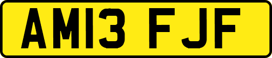 AM13FJF