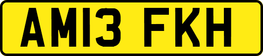 AM13FKH
