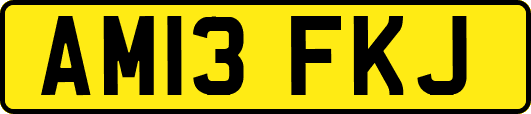 AM13FKJ
