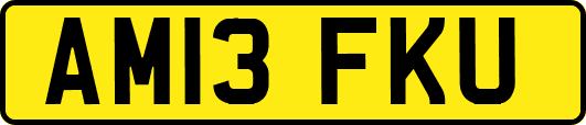 AM13FKU
