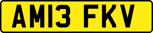 AM13FKV