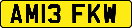 AM13FKW