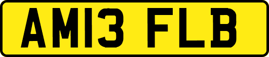 AM13FLB