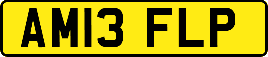 AM13FLP