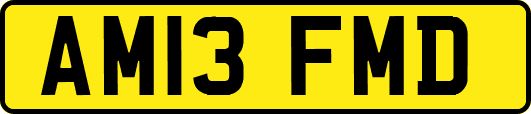 AM13FMD