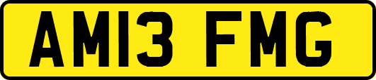 AM13FMG