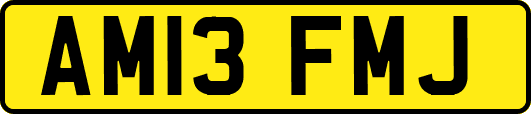 AM13FMJ