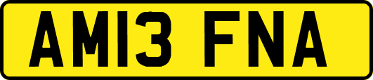 AM13FNA
