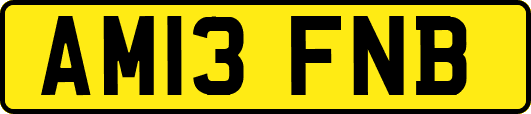 AM13FNB