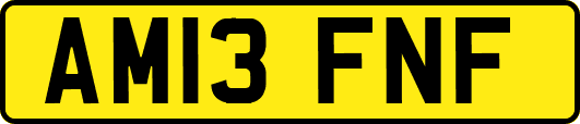 AM13FNF