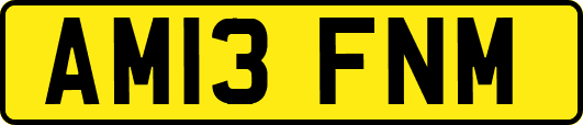 AM13FNM